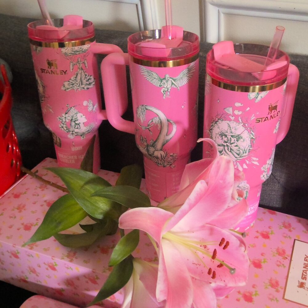 2025 Wicked x Stanley Ozian Reprise 40oz Quencher Tumbler  Target Sold Out